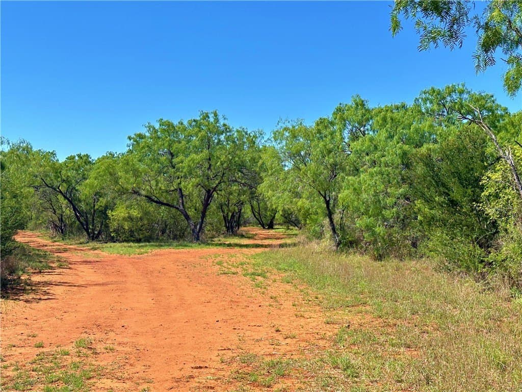 100 acres in Atascosa County - photo 14