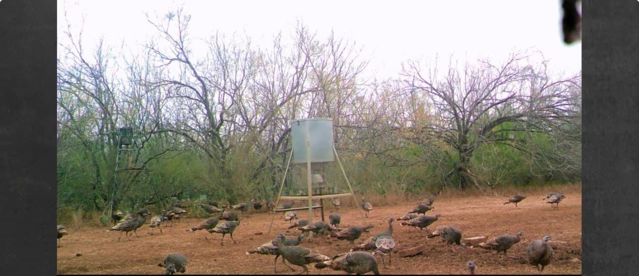 100 acres in Atascosa County - photo 20