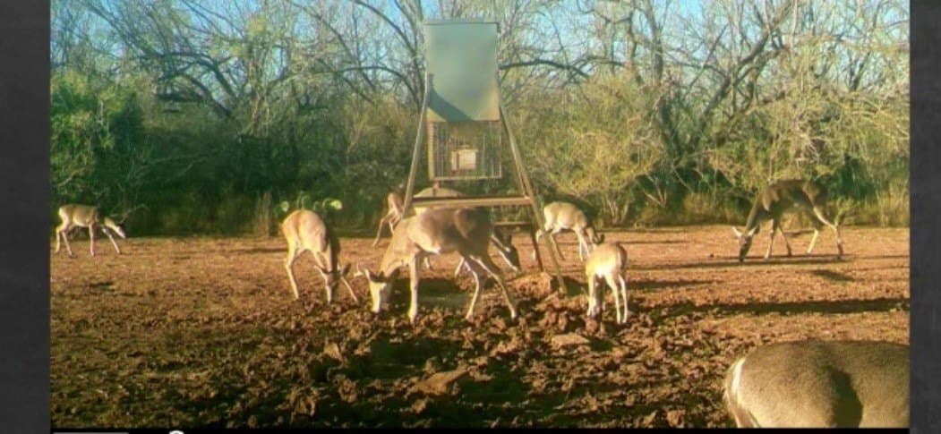 100 acres in Atascosa County - photo 21