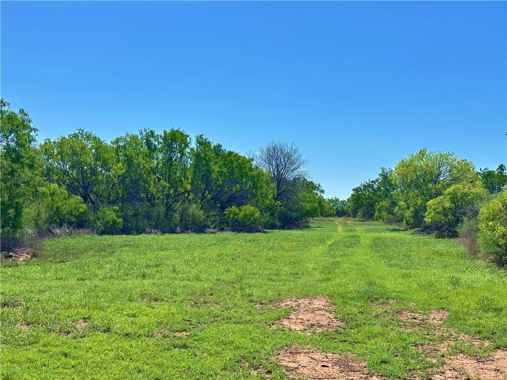 100 acres in Atascosa County featured view