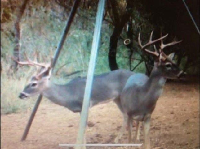 100 acres in Atascosa County - photo 22