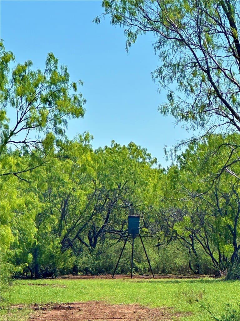 100 acres in Atascosa County - photo 16