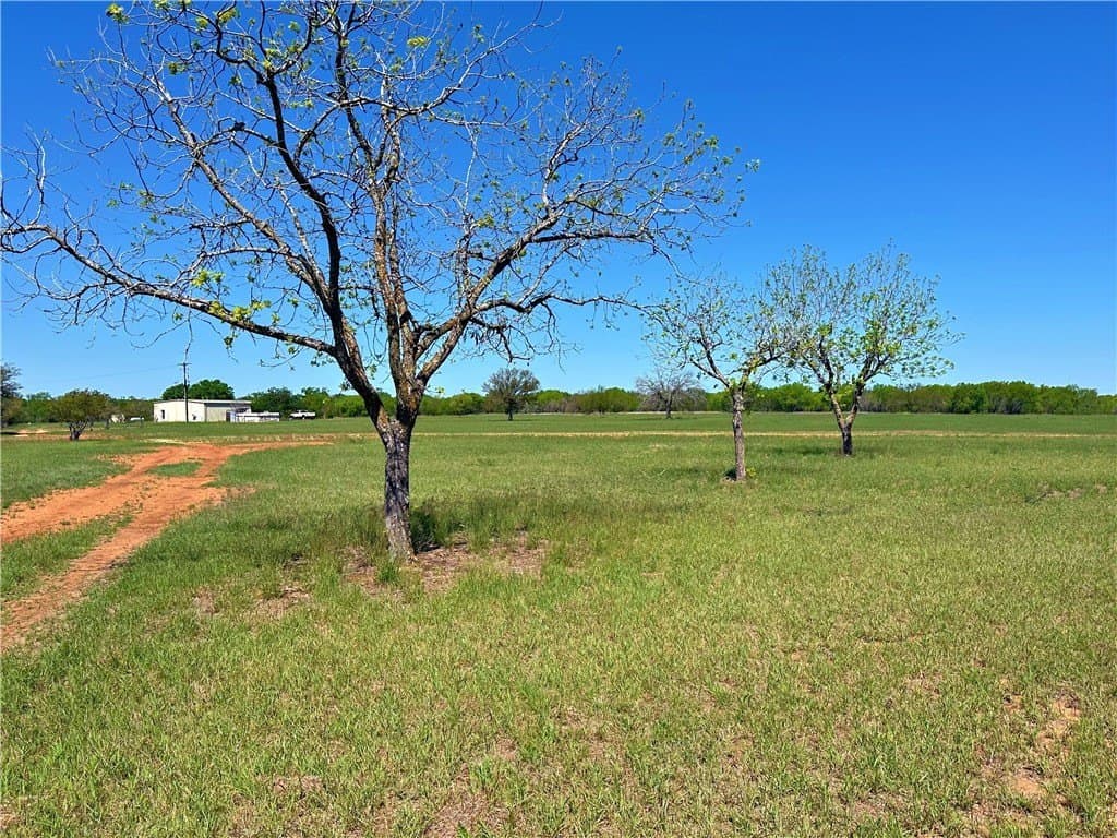 100 acres in Atascosa County