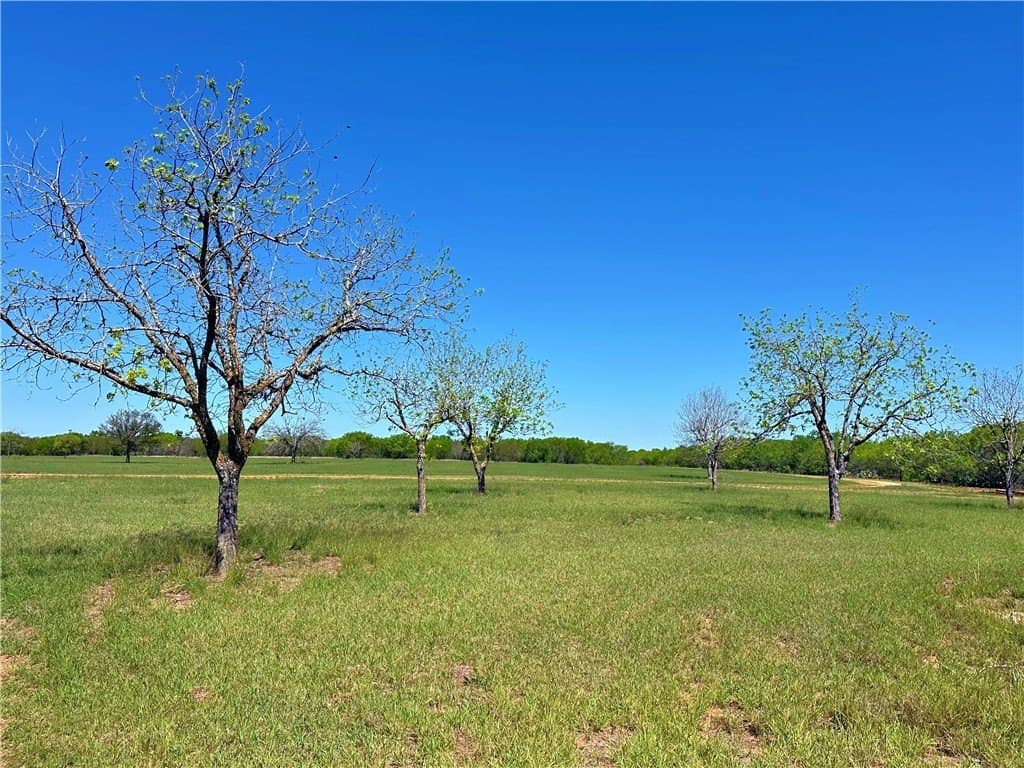 100 acres in Atascosa County gallery image 2