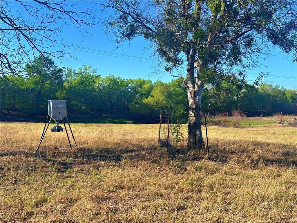 100 acres in Atascosa County - photo 7