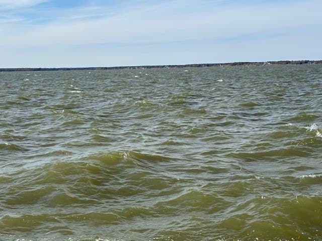 1.01 acres in Navarro County - photo 13