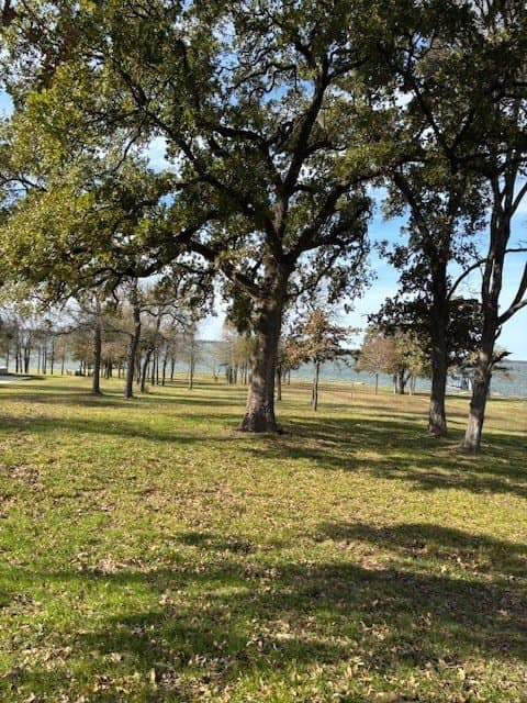 1.01 acres in Navarro County - photo 18