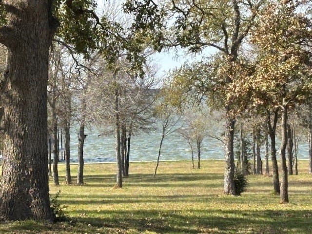 1.01 acres in Navarro County - photo 8