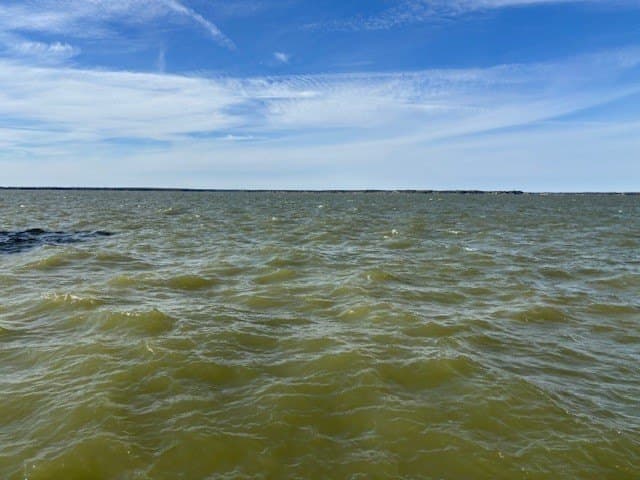 1.01 acres in Navarro County - photo 15