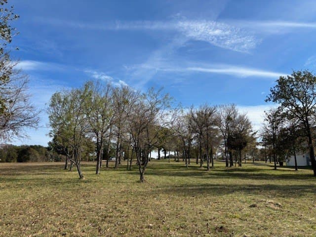 1.01 acres in Navarro County - photo 24