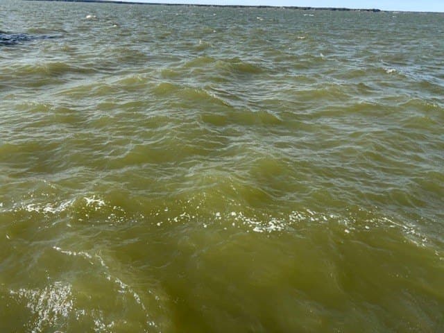 1.01 acres in Navarro County - photo 10