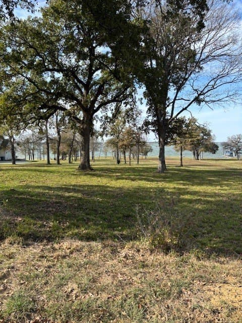 1.01 acres in Navarro County - photo 16