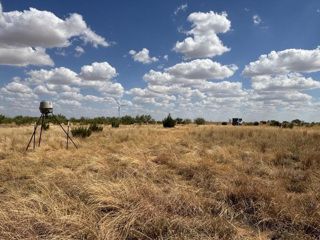 48.9 acres in Scurry County - photo 16