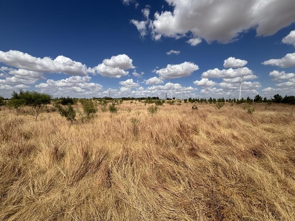 48.9 acres in Scurry County - photo 19