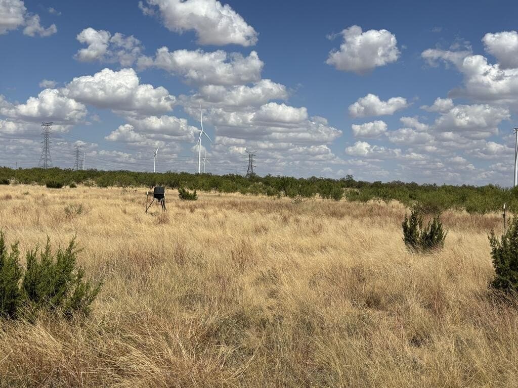48.9 acres in Scurry County - photo 13