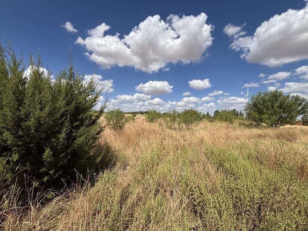 48.9 acres in Scurry County - photo 2