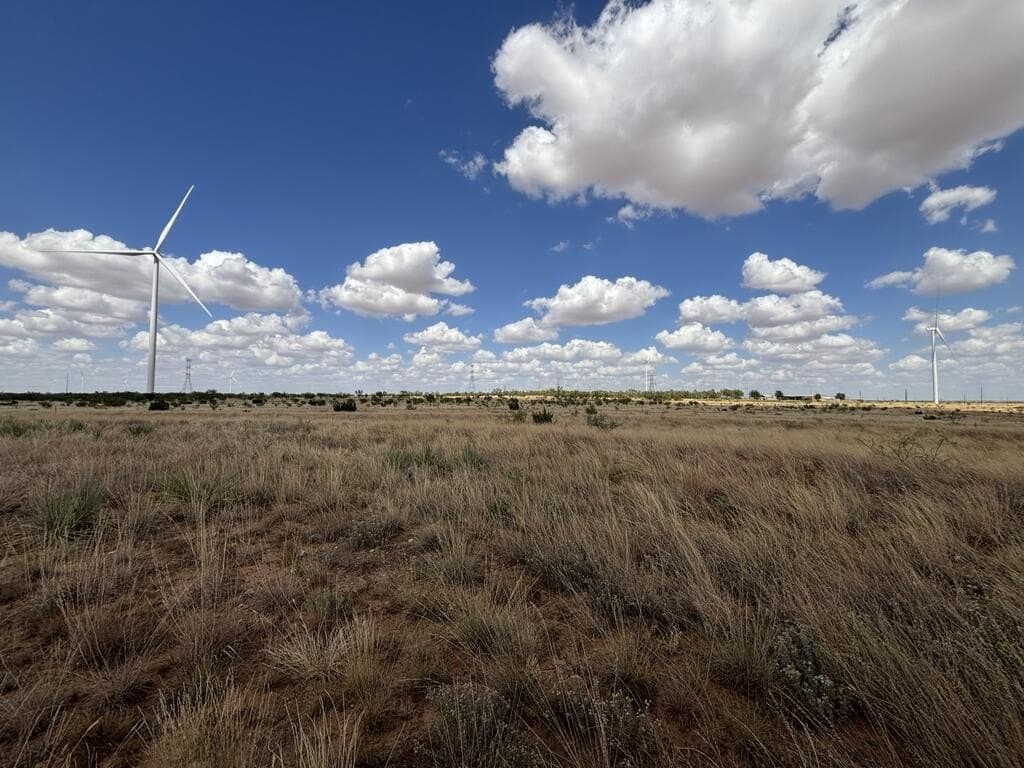 48.9 acres in Scurry County - photo 17