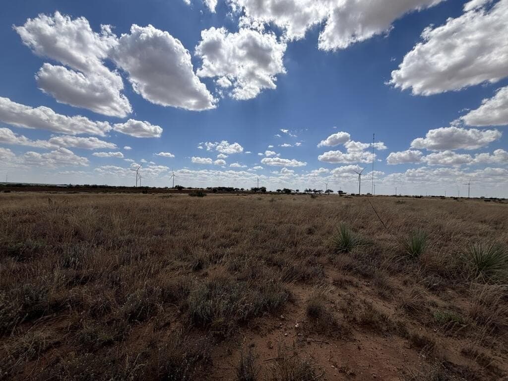 48.9 acres in Scurry County - photo 18