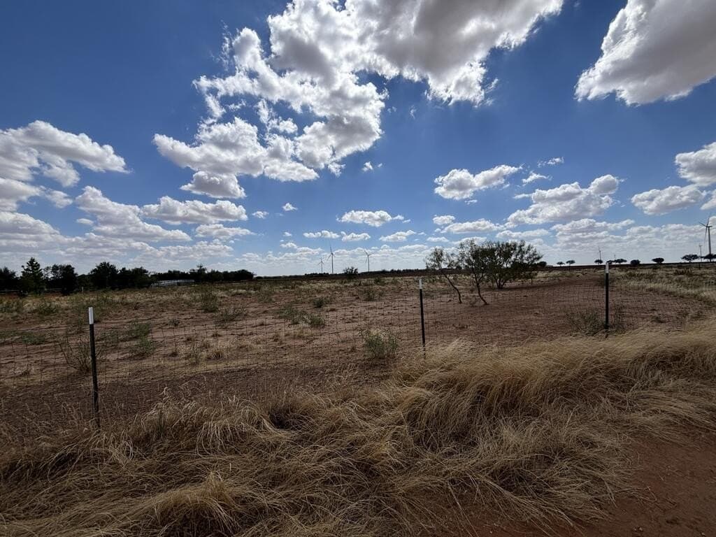 48.9 acres in Scurry County - photo 4