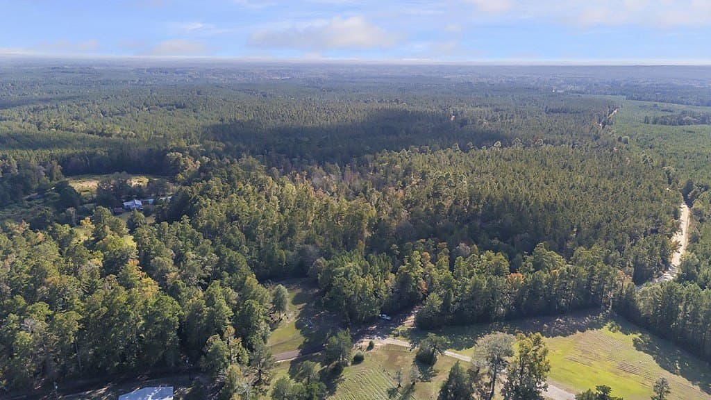 12.88 acres in Texas County featured view