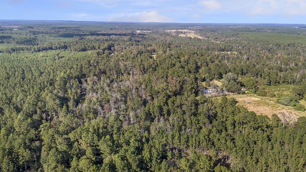12.88 acres in Texas County - photo 10