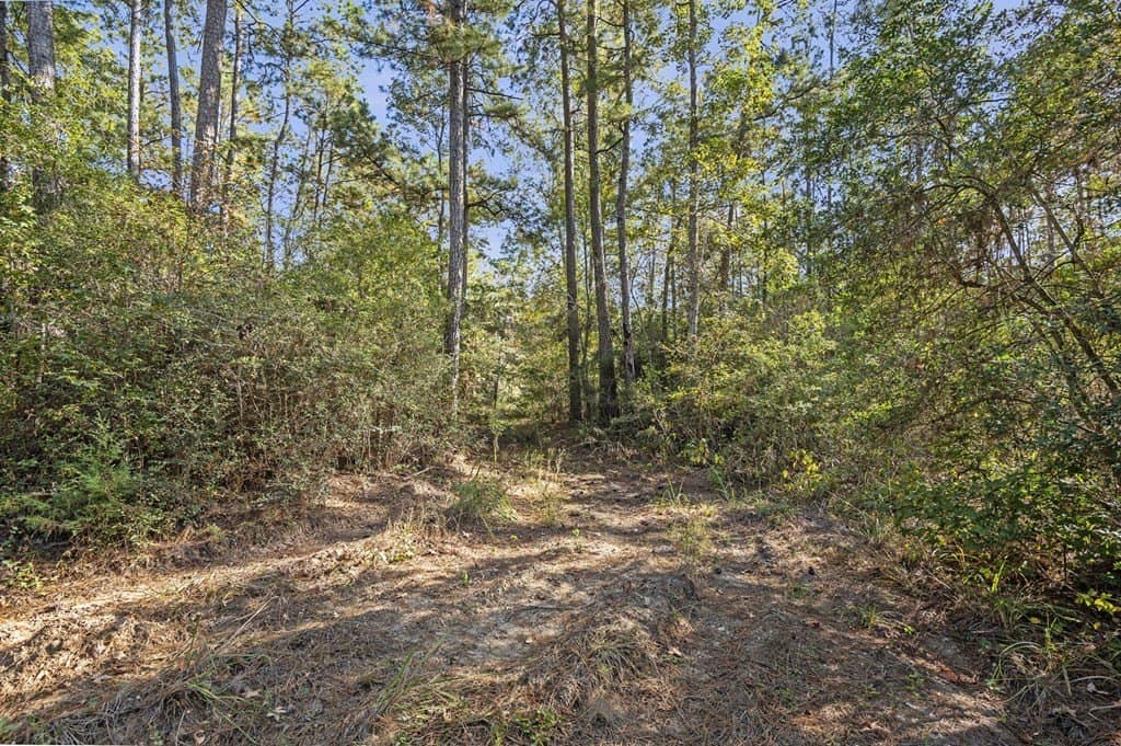 12.88 acres in Texas County gallery image 2