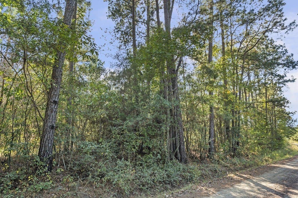 12.88 acres in Texas County gallery image 3