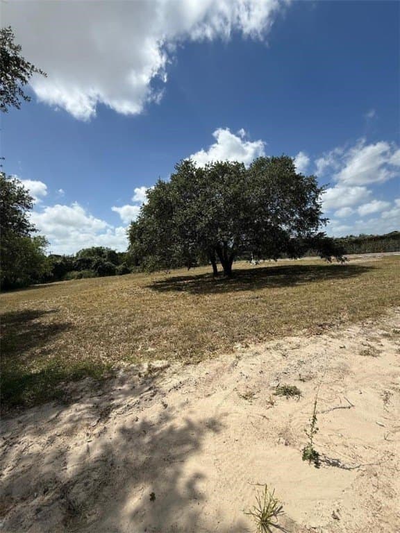 0.25 acres in Nueces County gallery image 2