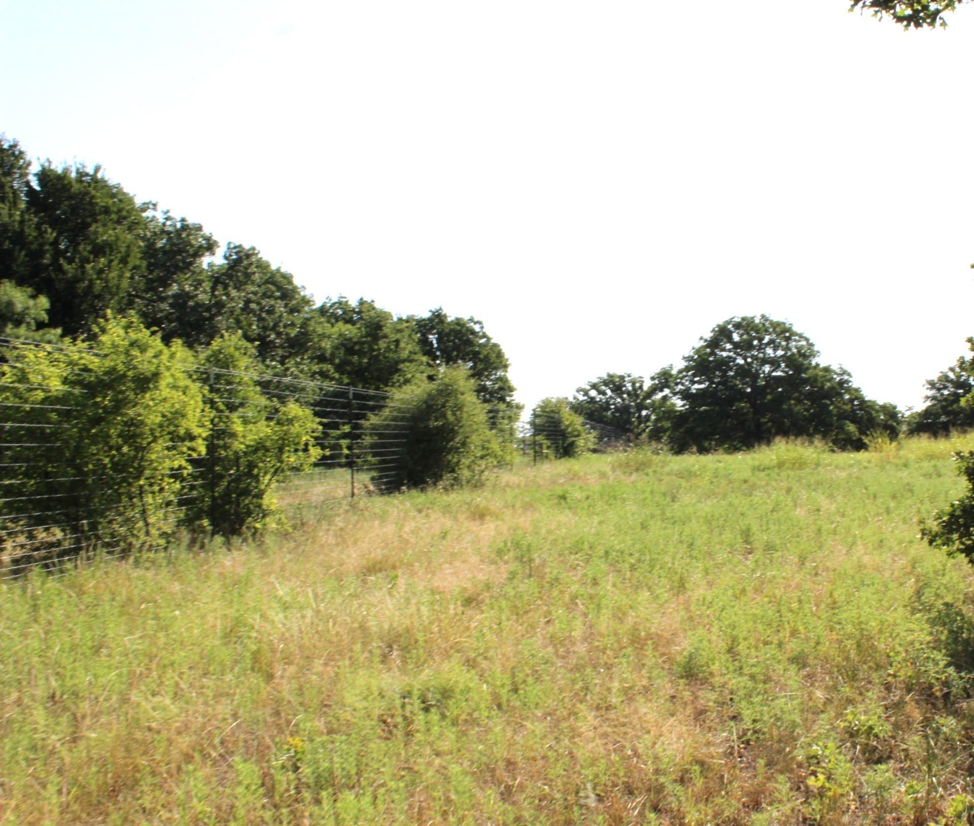 11.05 acres in Wise County - photo 28