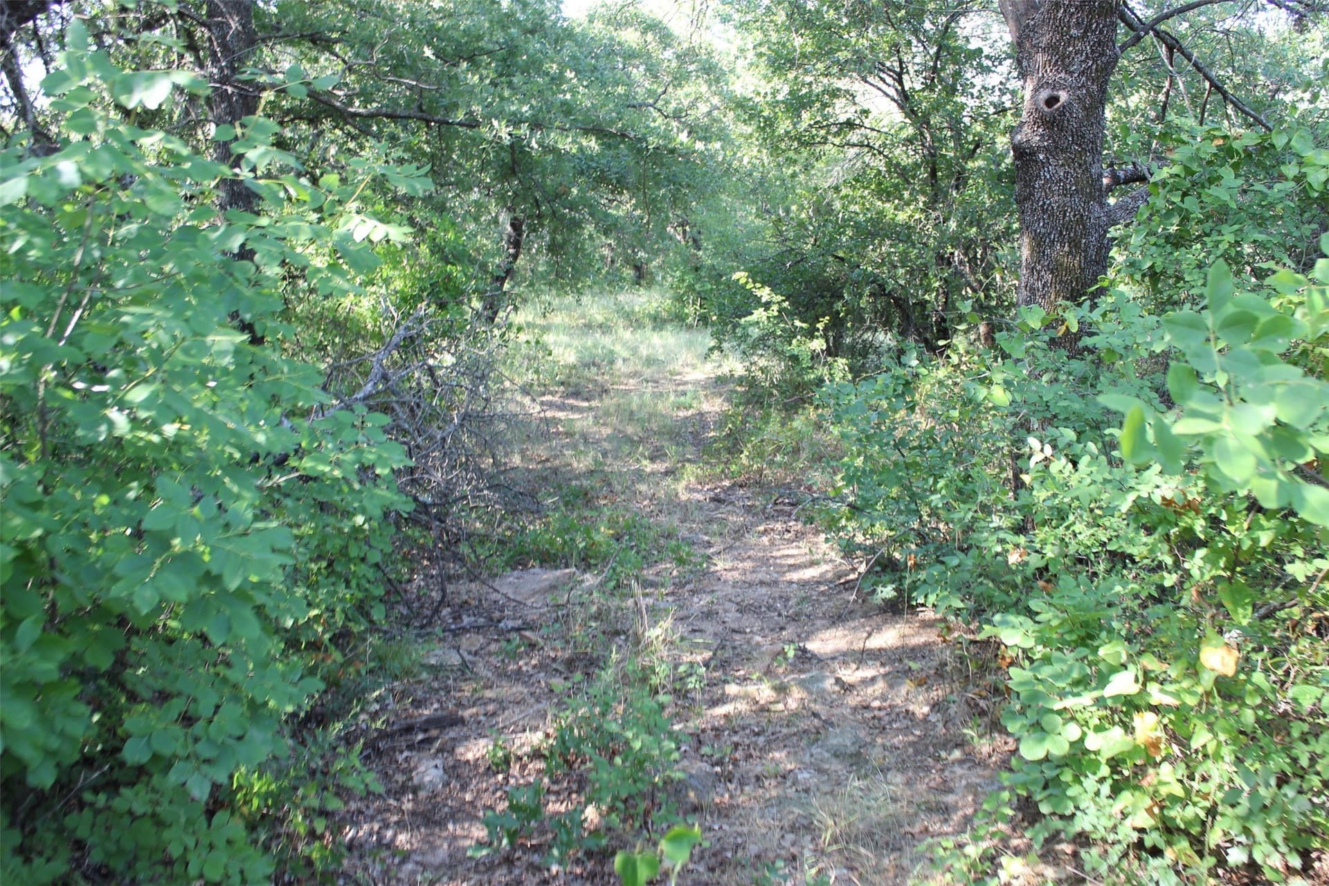 11.05 acres in Wise County - photo 27