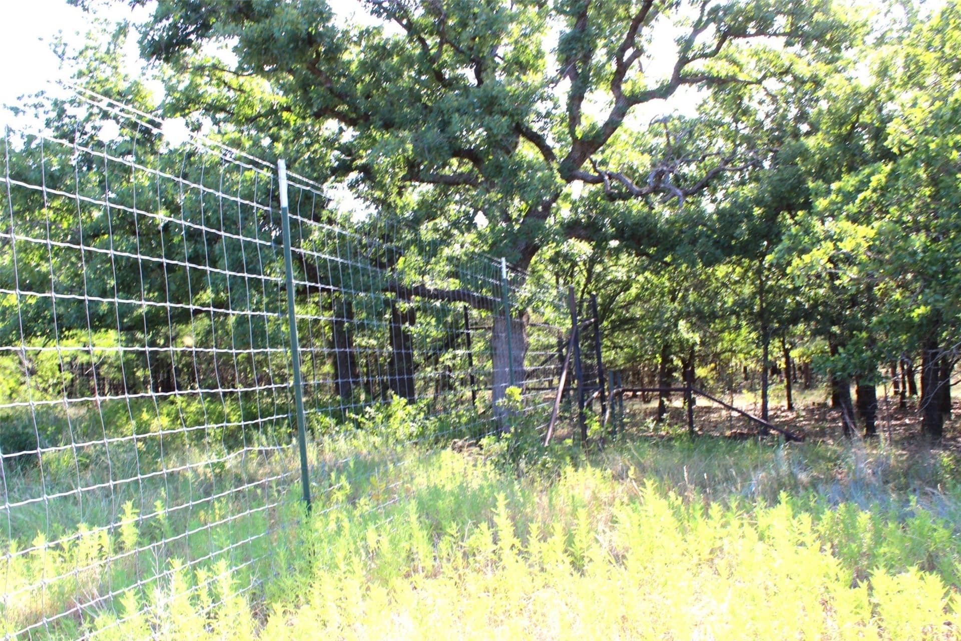 11.05 acres in Wise County - photo 30