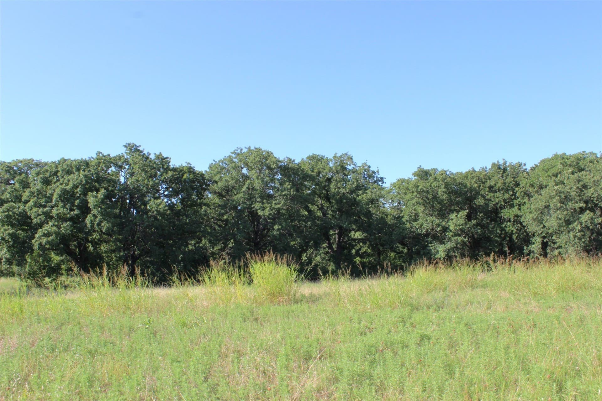 11.05 acres in Wise County - photo 26