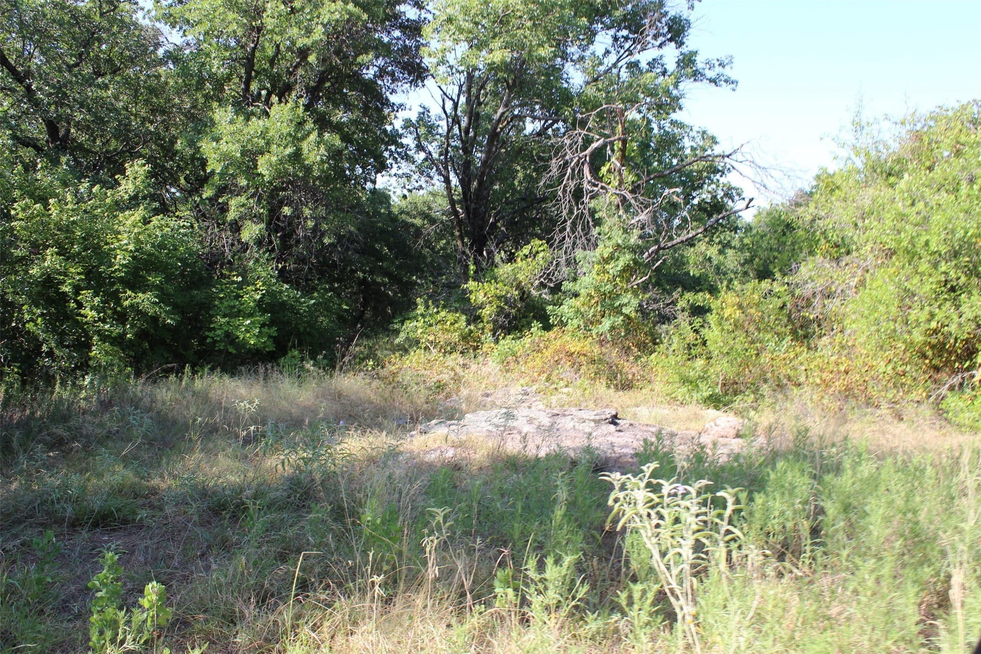 11.05 acres in Wise County - photo 31