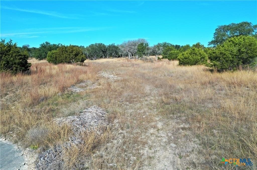 3.02 acres in Comal County - photo 9