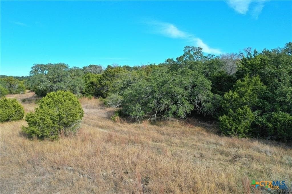3.02 acres in Comal County - photo 7