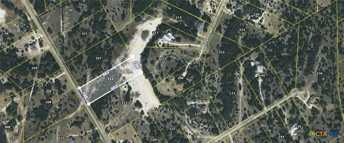 3.02 acres in Comal County gallery image 3