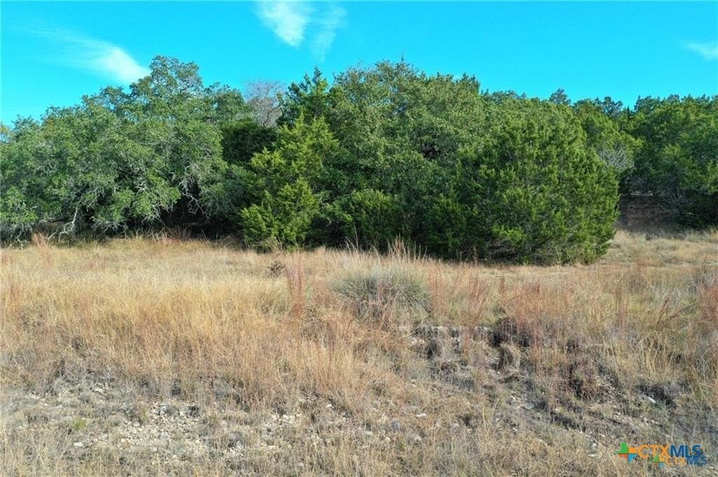 3.02 acres in Comal County - photo 8