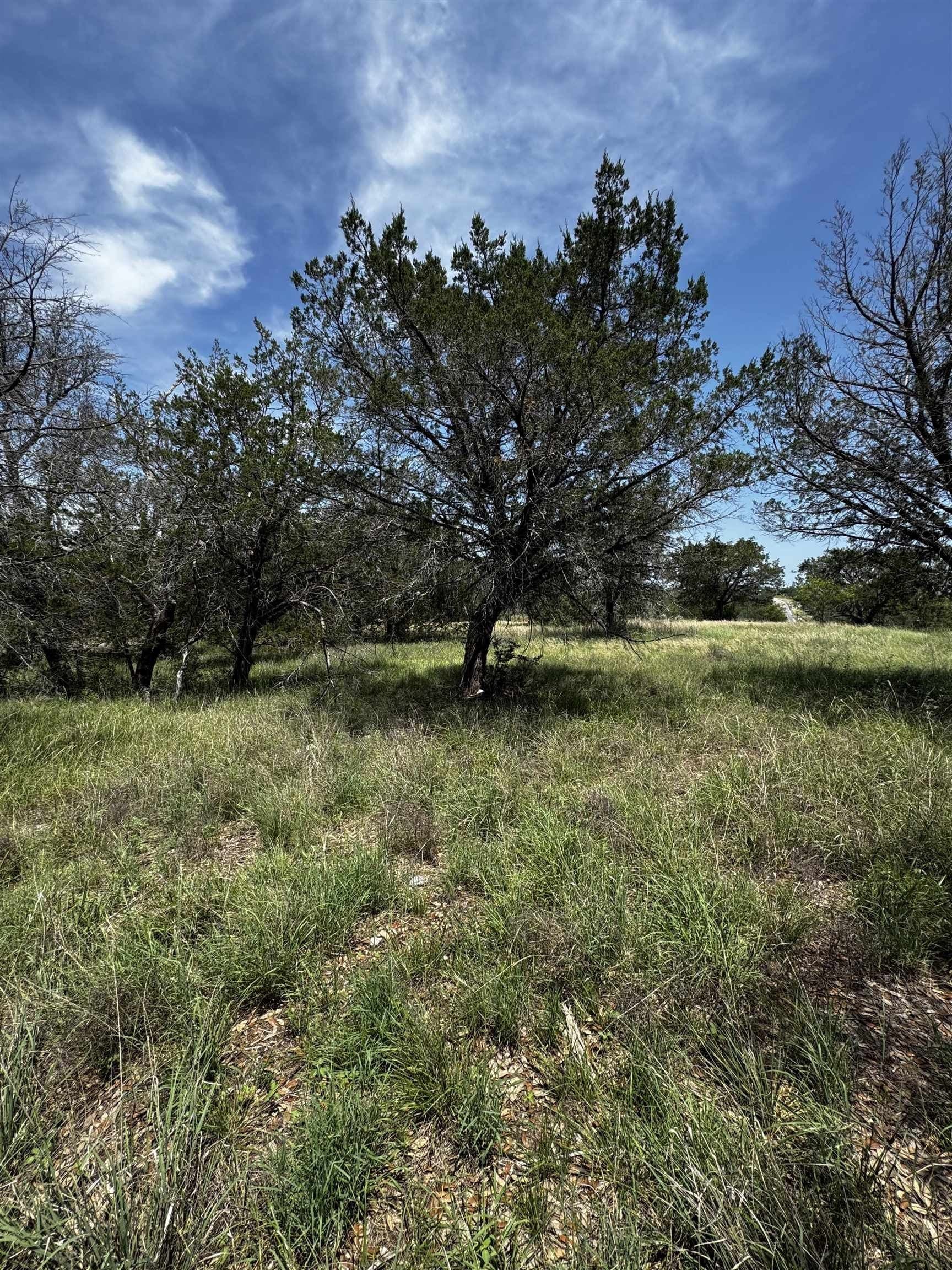 0.37 acres in Llano County gallery image 3