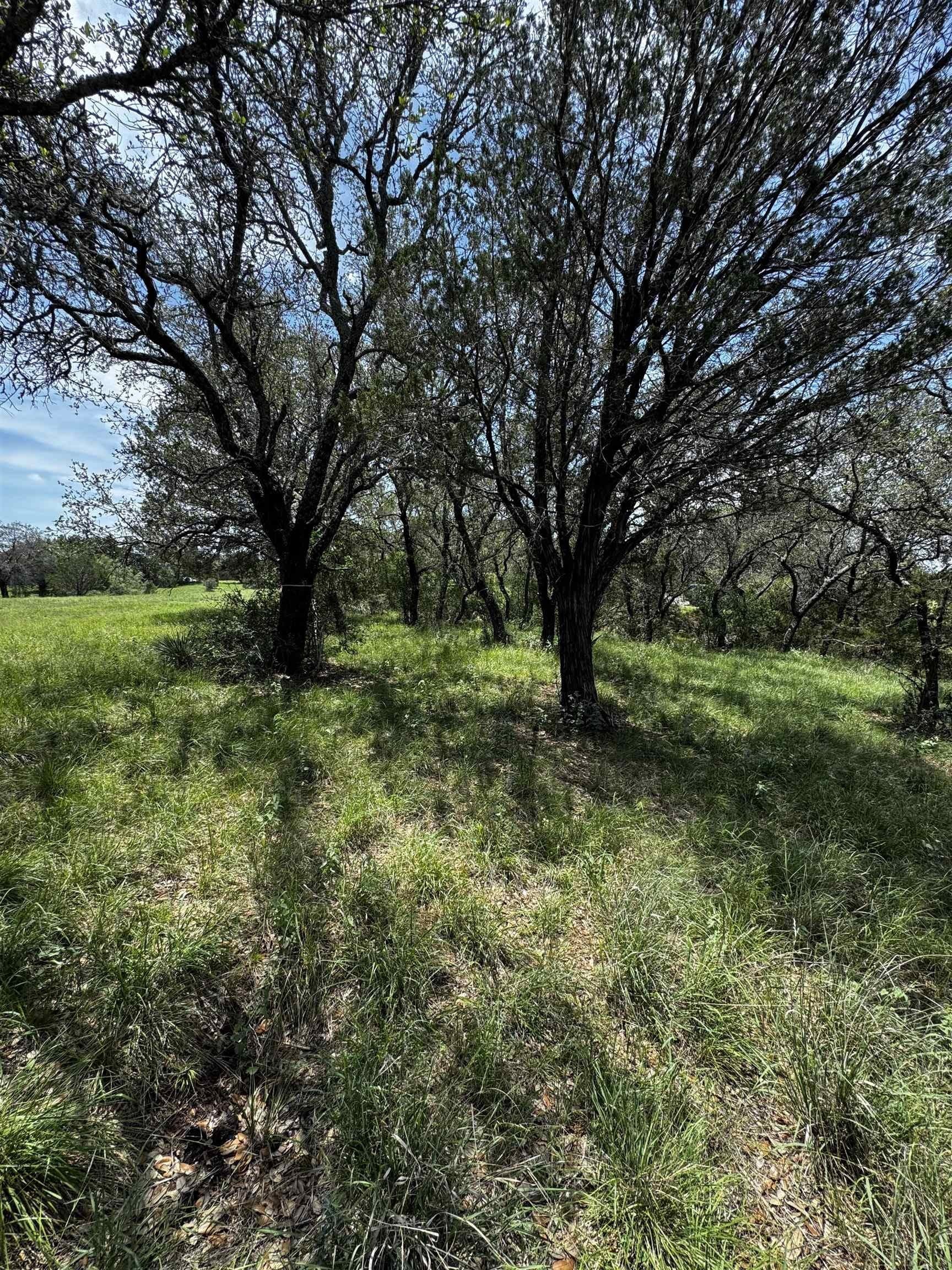 0.37 acres in Llano County gallery image 4