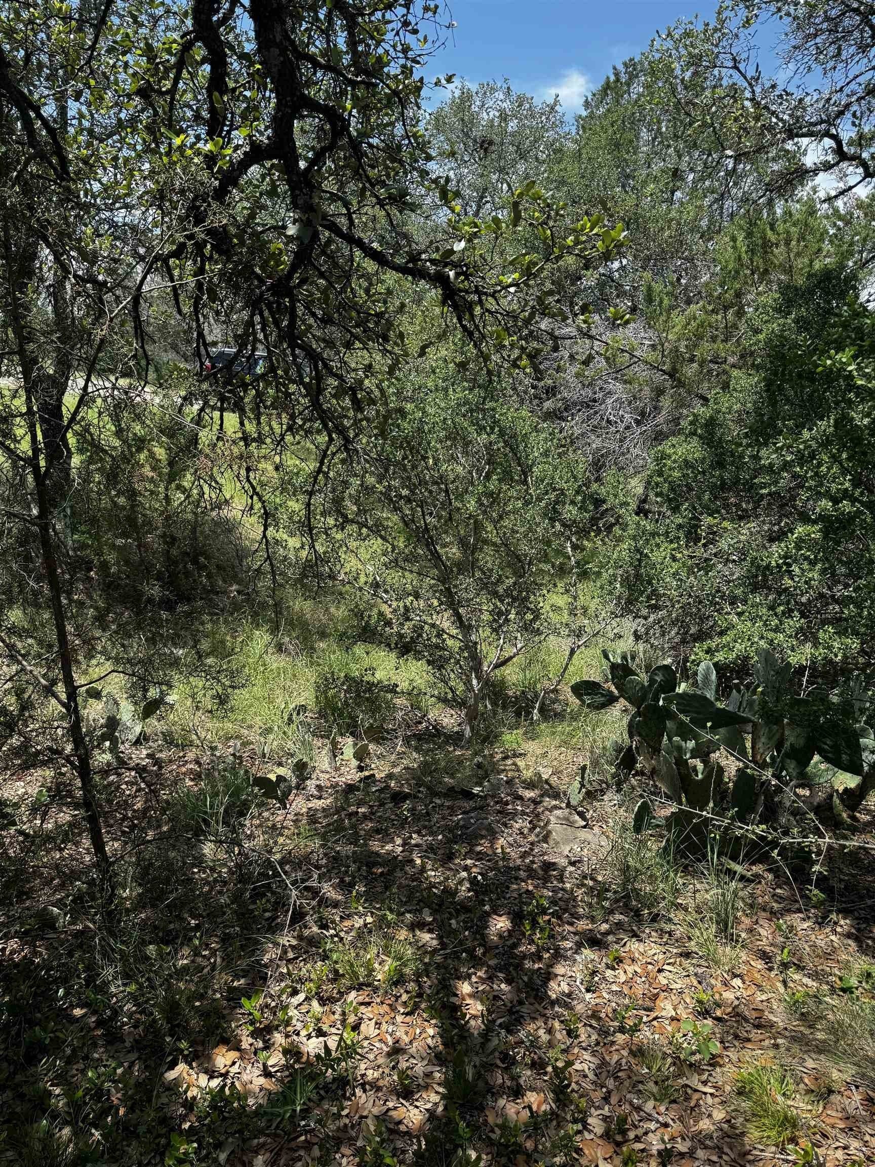 0.37 acres in Llano County gallery image 2