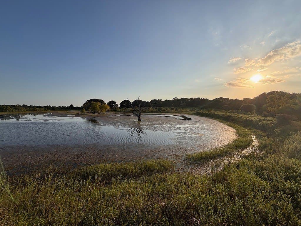122.76 acres in Colorado County