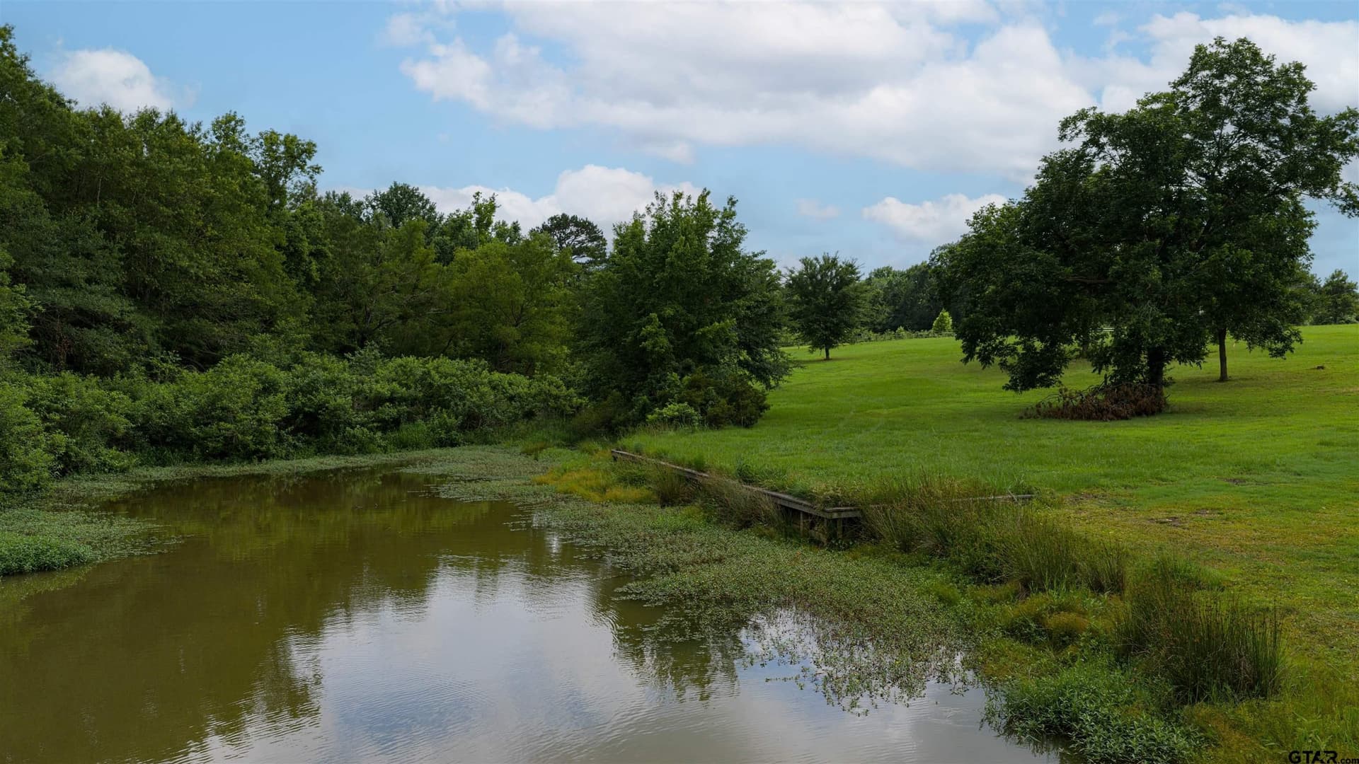 4.45 acres in Camp County gallery image 4