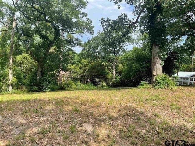 0.4 acres in Smith County - photo 2