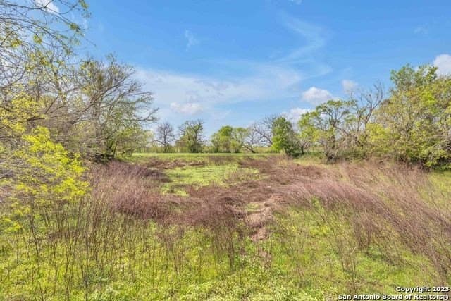 138 acres in Bexar County - photo 10