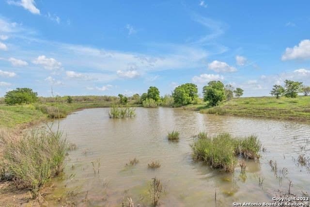 138 acres in Bexar County - photo 41