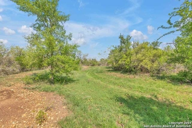 138 acres in Bexar County - photo 7