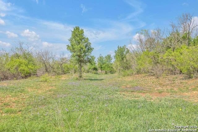 138 acres in Bexar County - photo 17