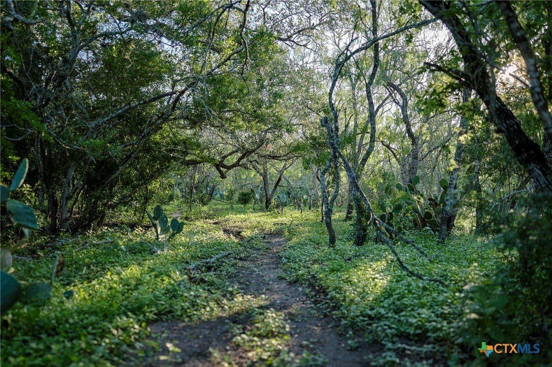 453 acres in Bee County - photo 30