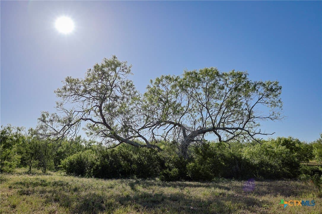 453 acres in Bee County - photo 39