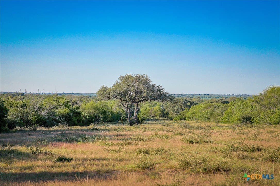 453 acres in Bee County - photo 27